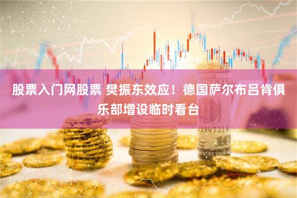 股票入门网股票 樊振东效应！德国萨尔布吕肯俱乐部增设临时看台