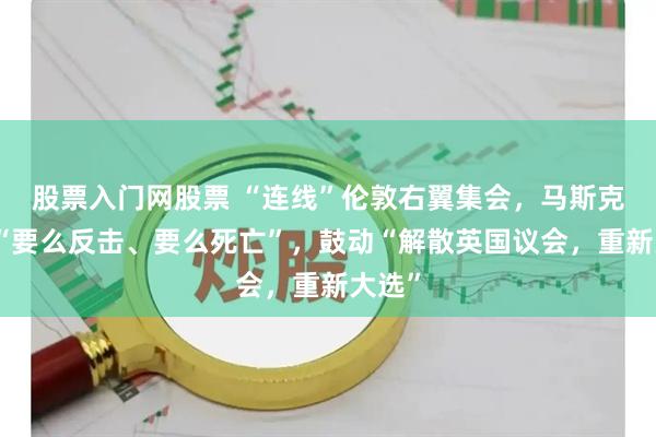 股票入门网股票 “连线”伦敦右翼集会，马斯克放言“要么反击、要么死亡”，鼓动“解散英国议会，重新大选”