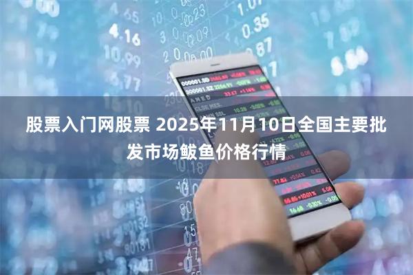 股票入门网股票 2025年11月10日全国主要批发市场鲅鱼价格行情