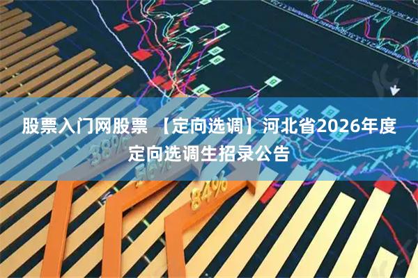 股票入门网股票 【定向选调】河北省2026年度定向选调生招录公告